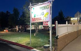 Jumping Frog Motel Angels Camp Ca